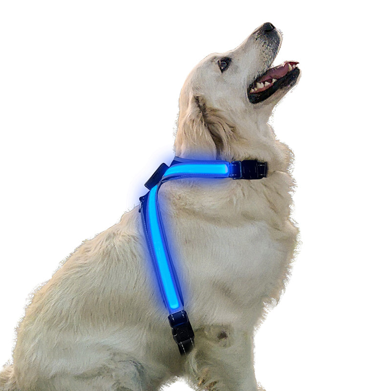 LED Hundegeschirr für mehr Sicherheit