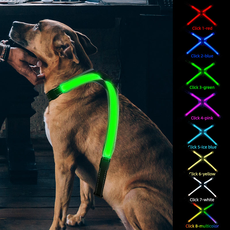 LED Hundegeschirr für mehr Sicherheit