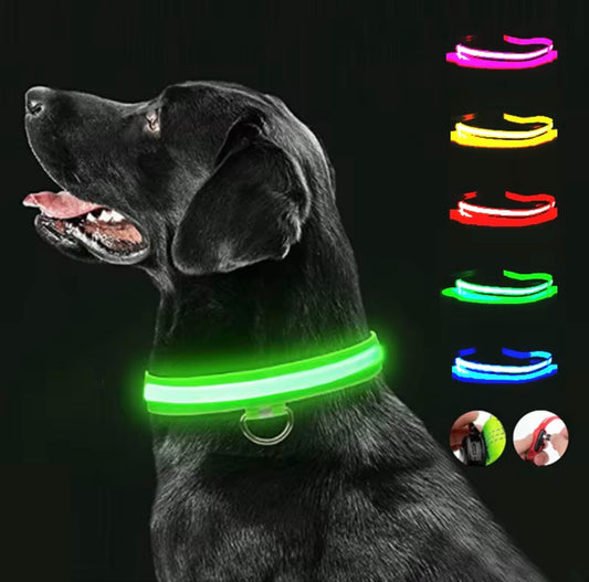 LED Hundehalsband