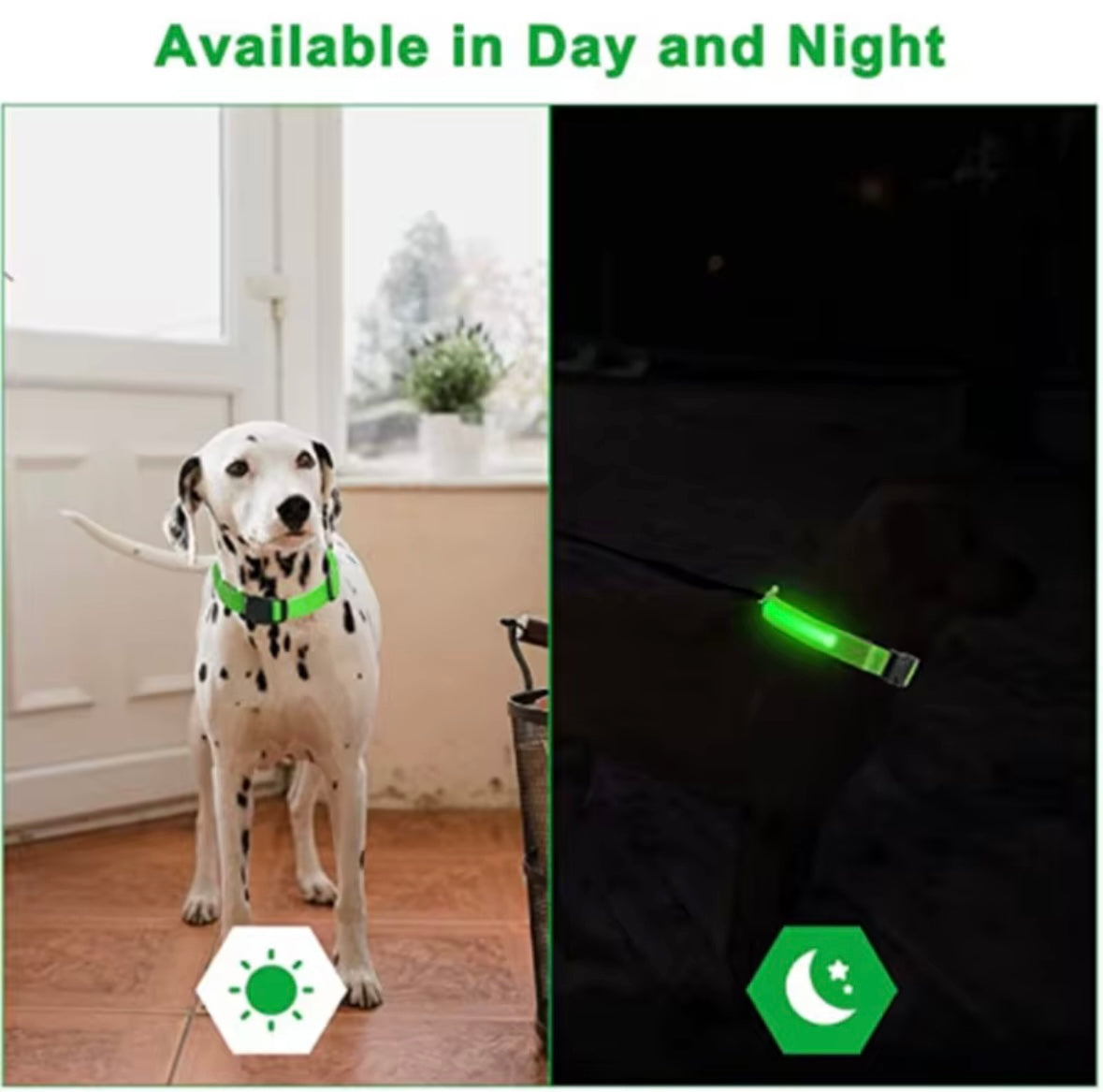 LED Hundehalsband