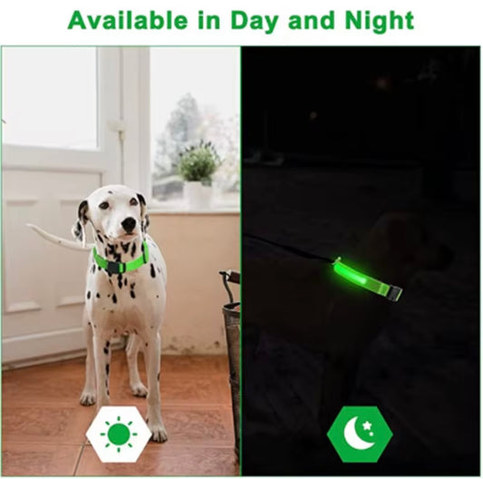 LED Hundehalsband